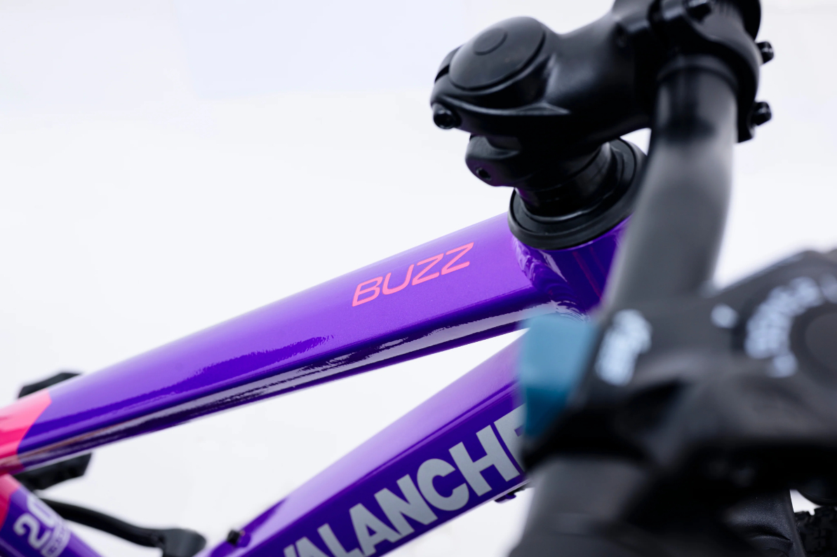 Avalanche Buzz 20 Inch Junior Girls Bike 2026