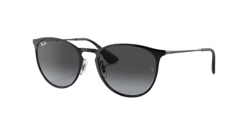 Ray-Ban Erika Metal Fashion Sunglasses