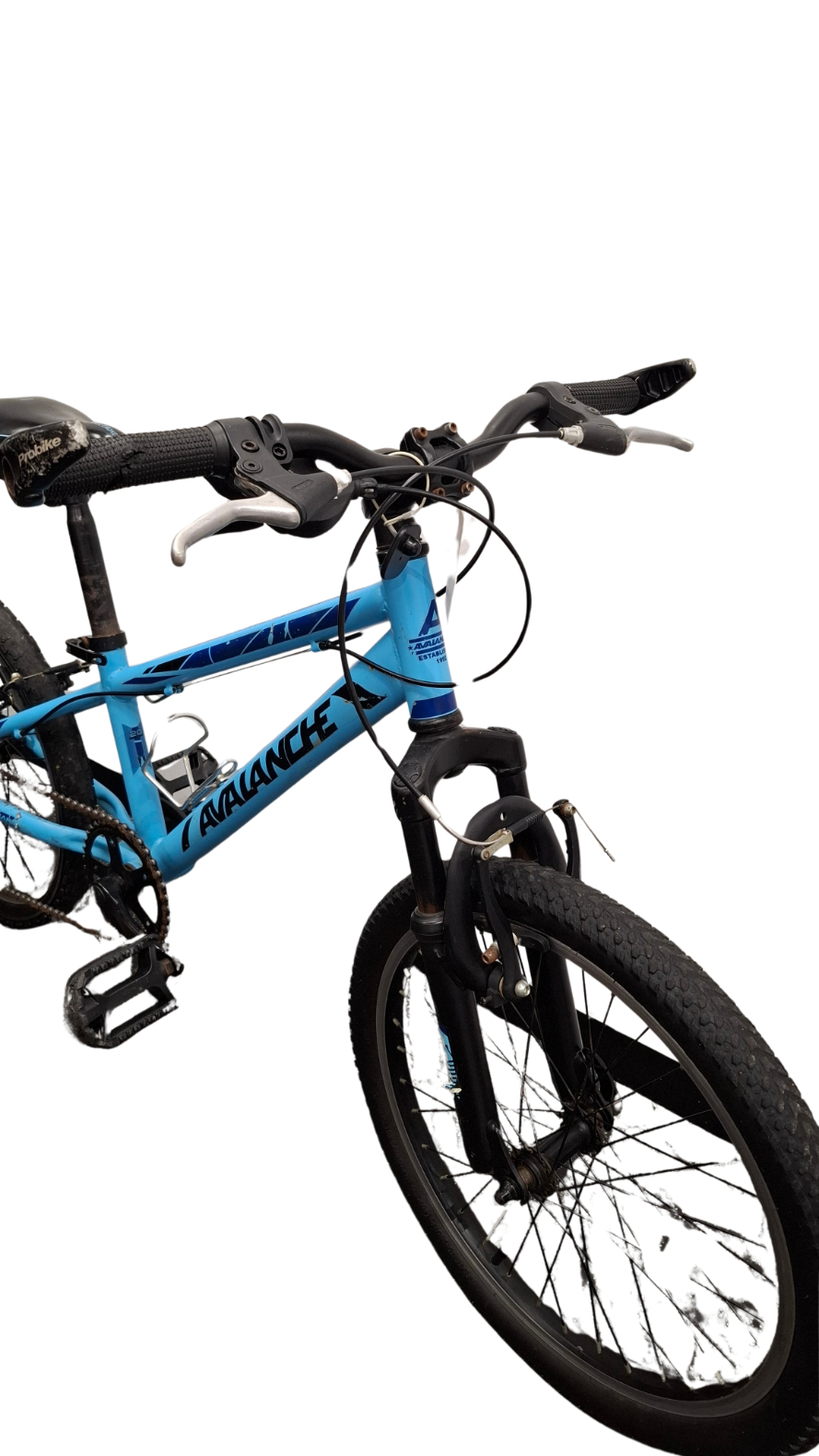 Pre-Owned Avalanche Delta One 20 Inch Junior Bike 