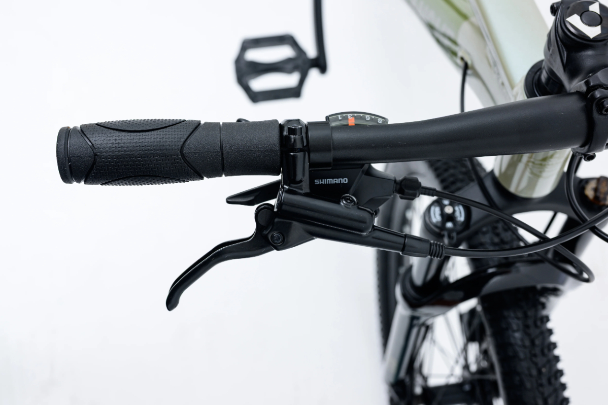 Avalanche Ignite 24 Inch Junior Boys Bike 2026