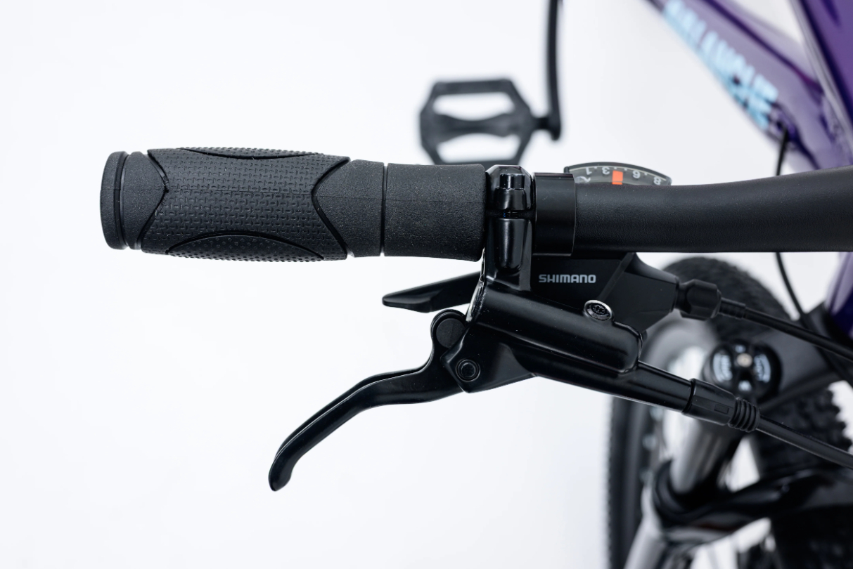 Avalanche Ignite 24 Inch Junior Girls Bike 2026