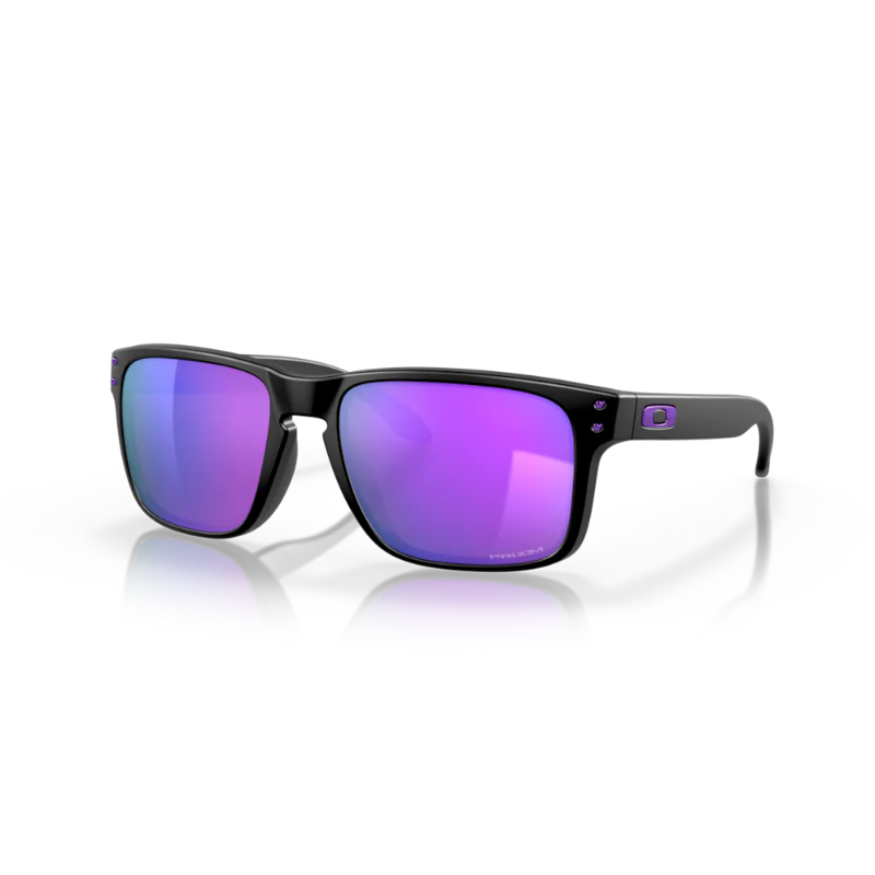 Oakley Holbrook Sunglasses 