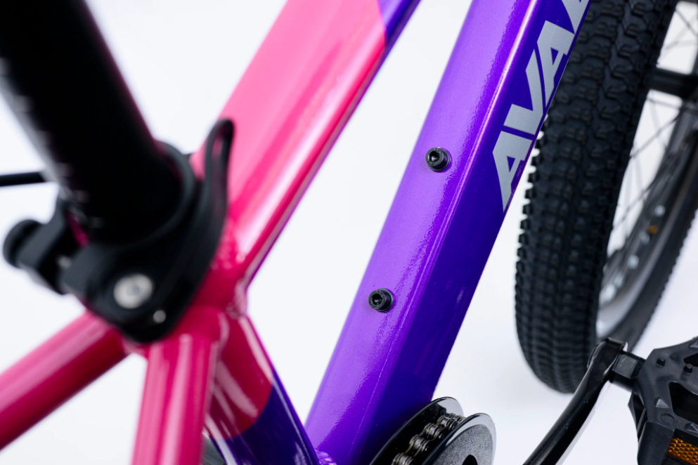 Avalanche Buzz 20 Inch Junior Girls Bike 2026