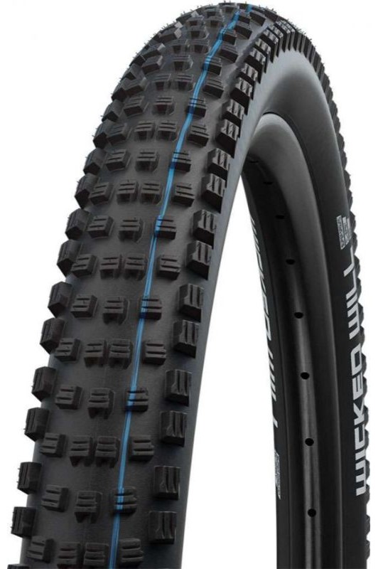Schwalbe Wicked Will Addix Performance TR 29x2.4 MTB Tyre