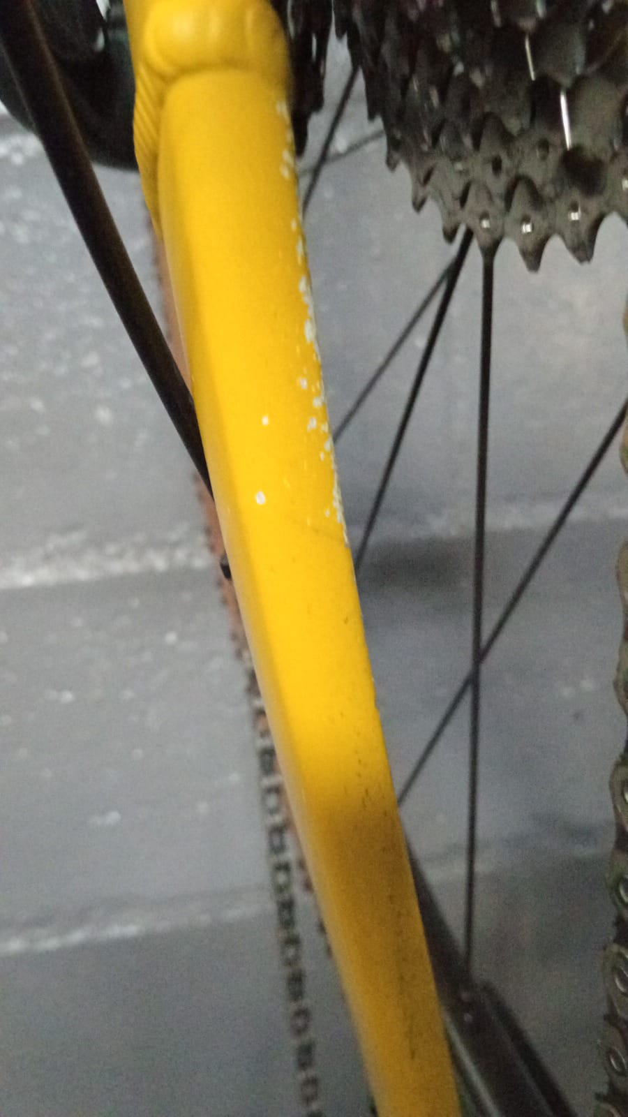 Demo Scott Speedster 40 Aluminium Gravel Bike700c YEL 56